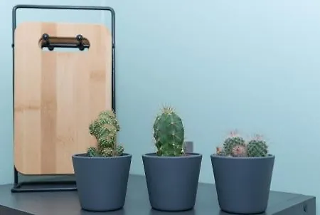 Le P'tit Georges * Le Tréport