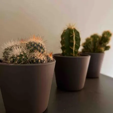 Le P'tit Georges Apartamento